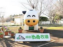 �����������ʐ^